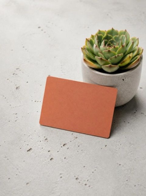 Visuel provisoire : Carte en PVC recyclé terracotta sur un béton clair