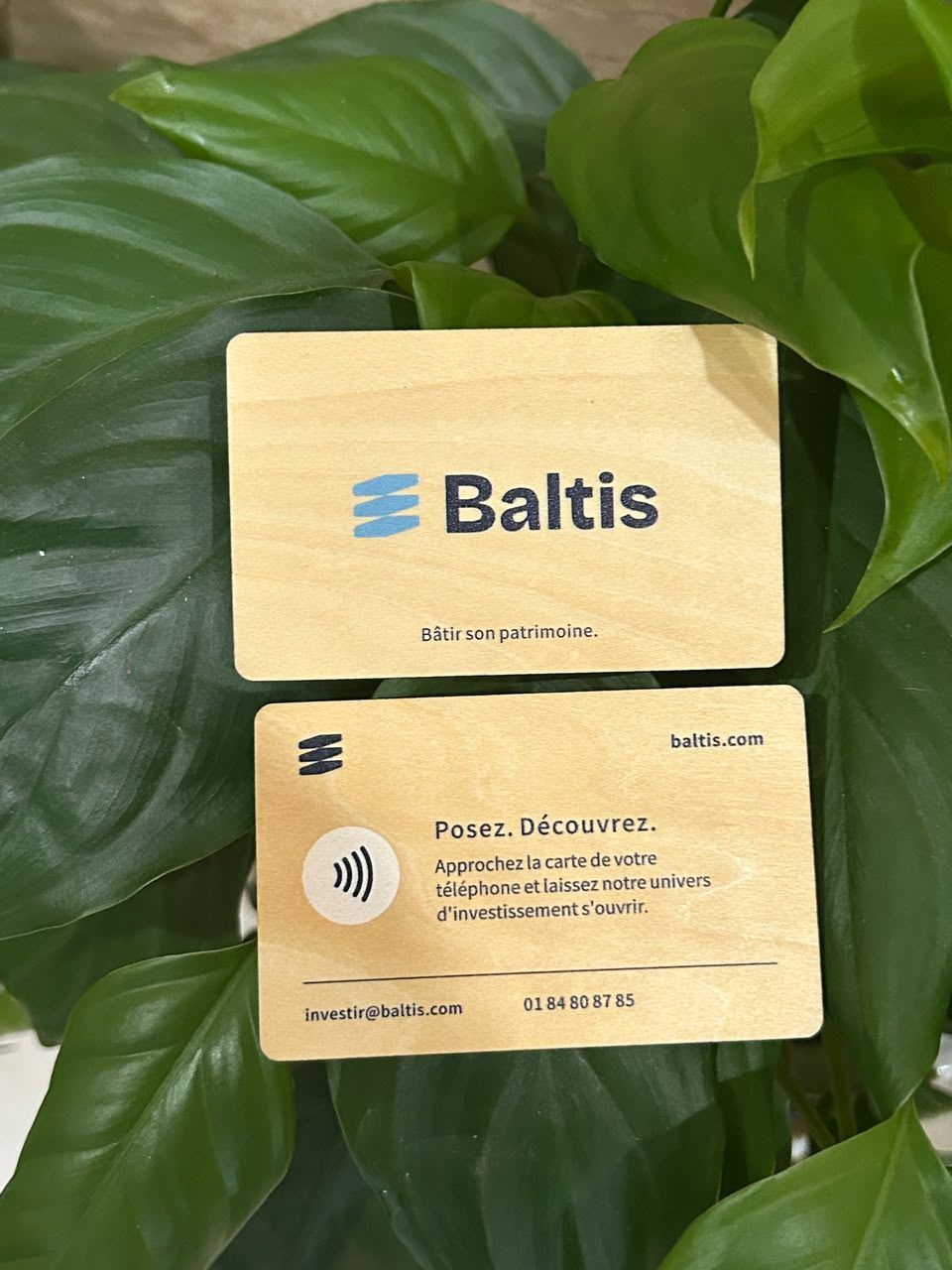 Visuel provisoire : deux cartes de visite NFC en bois, recto et verso, posées sur des feuilles vertes