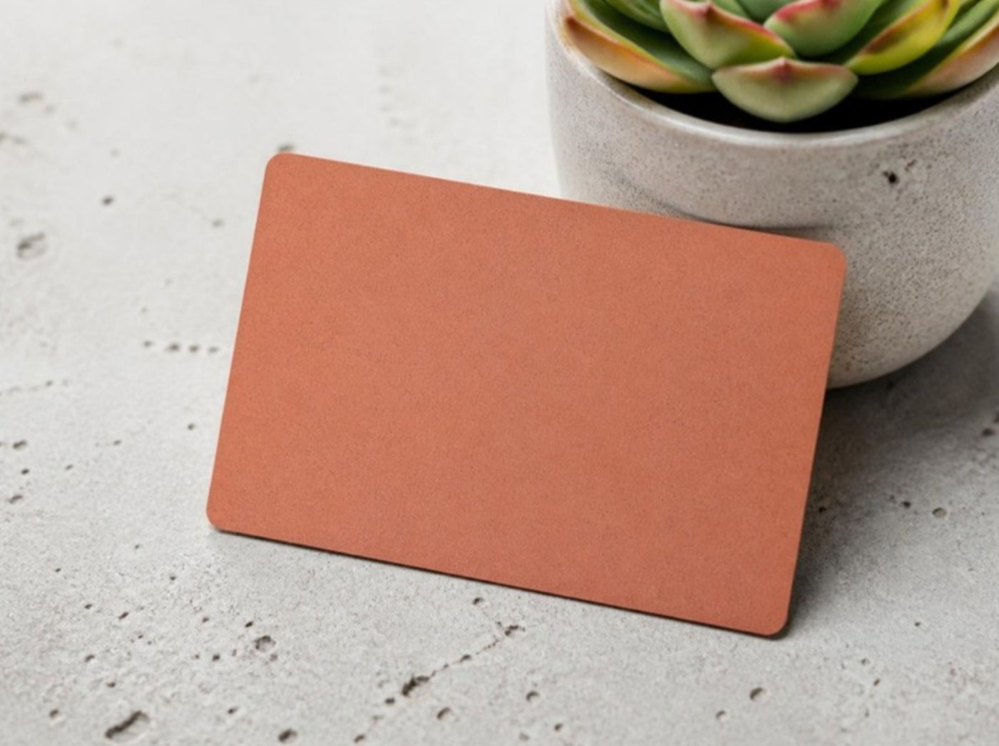 Visuel provisoire : Carte en PVC recyclé terracotta sur un béton clair
