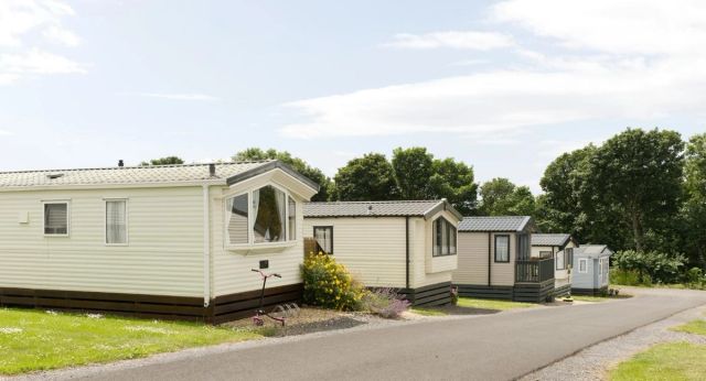 Rangée de mobil-homes blancs le long d'une allée de camping bordée de pelouse et d'arbres (photo Unsplash provisoire)