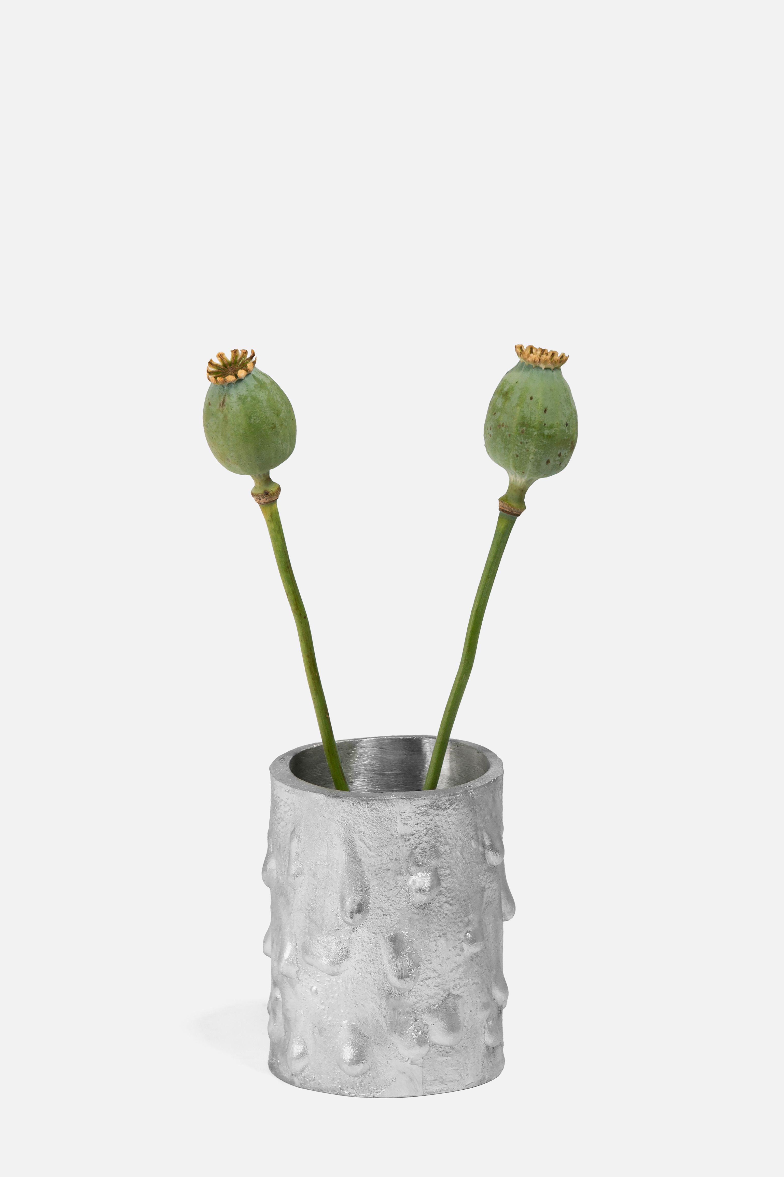 Aleni aluminum vase AS-05 with two green poppy pods, product image