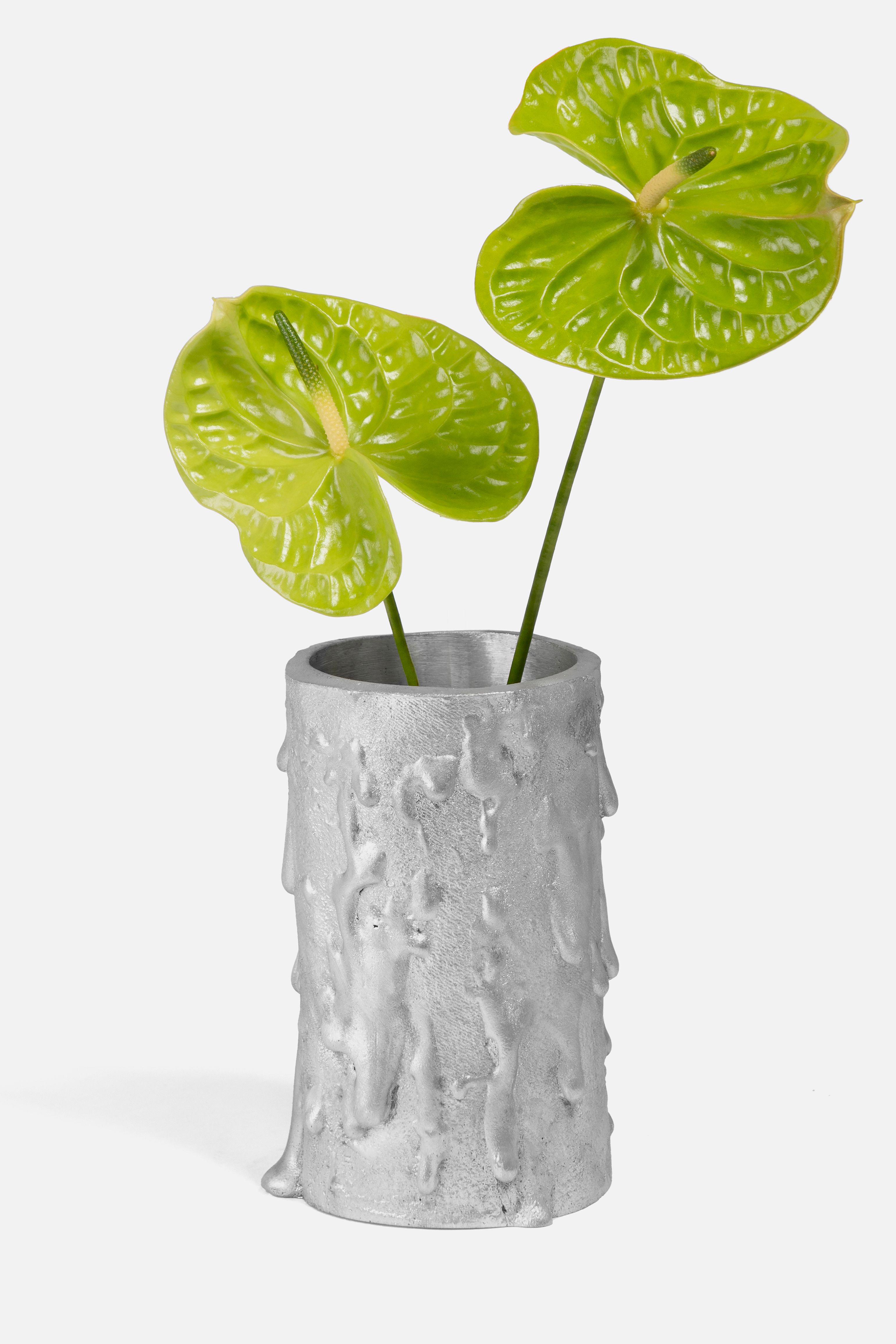 Aleni aluminum vase AS-04 with two green anthurium plants, product image