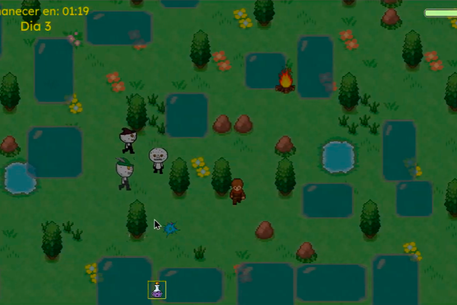 Survivor Game