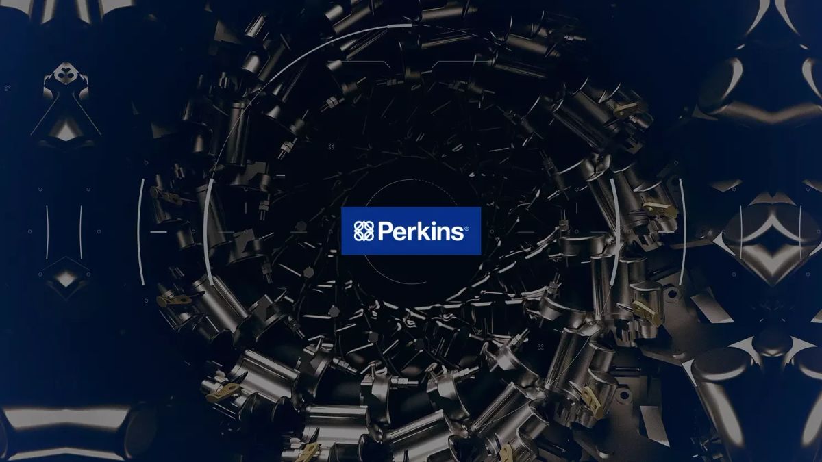 Perkins Feature 3