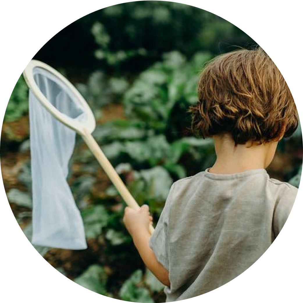A young boy holding a butterfly net in his left hand facing away from us and looking down towards the ground.