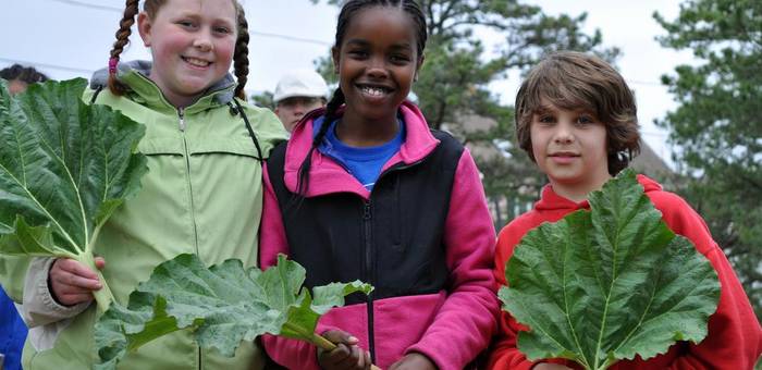 Three young people hold large leaves during an outdoor learning program