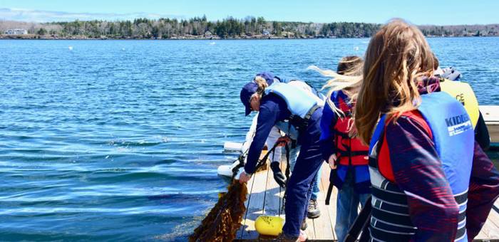 Middle school students watch as their classroom seaweed is harvested from a kelp farm.