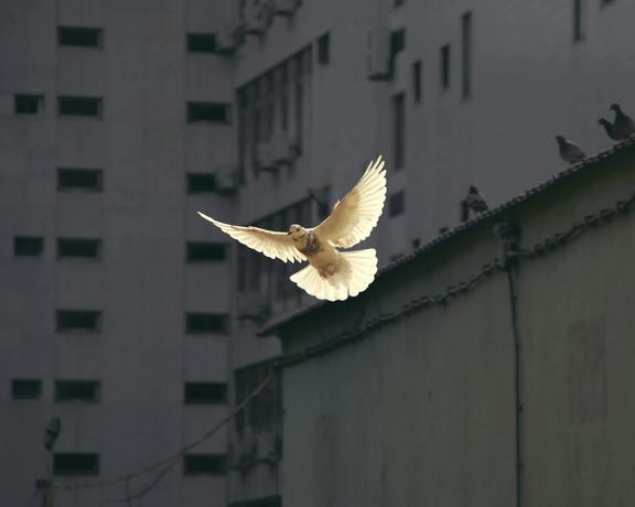 CMI – Martti Ahtisaari Peace Foundation