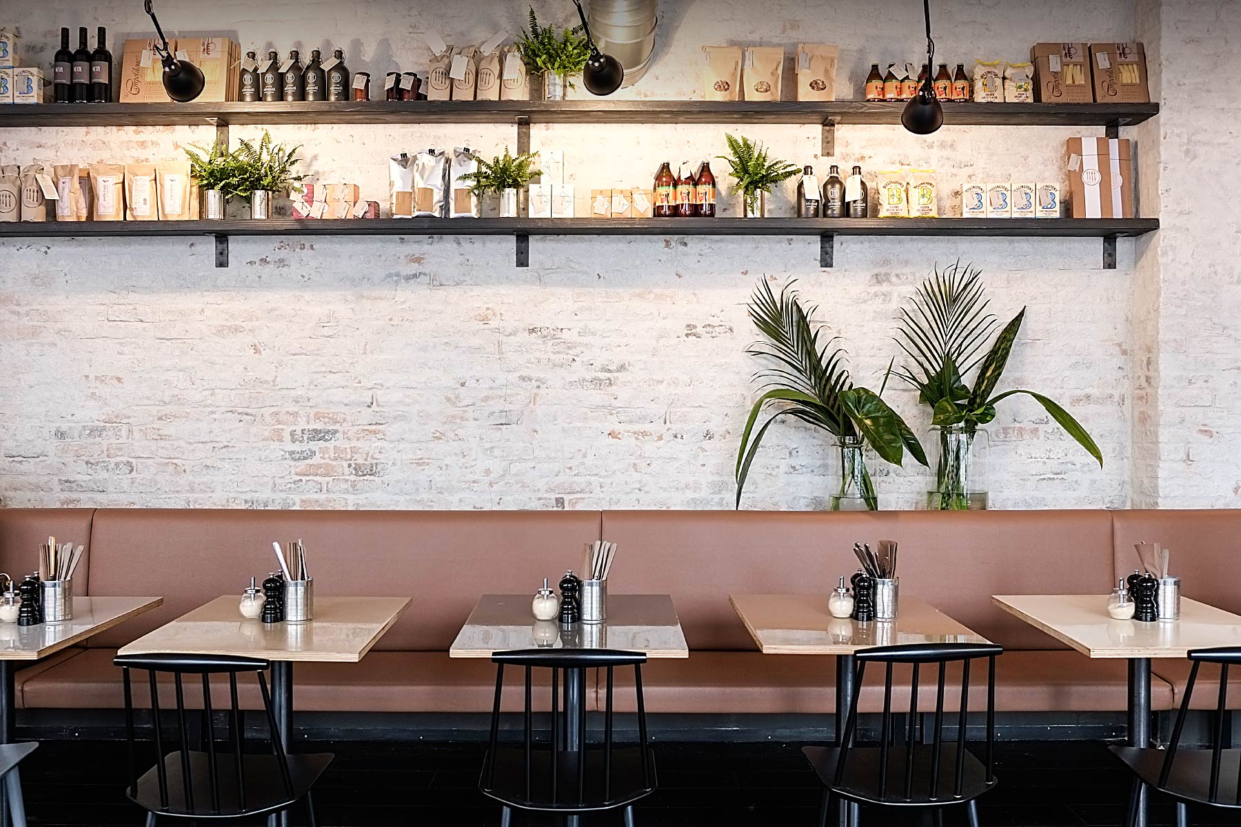 Stephanie Thatenhorst