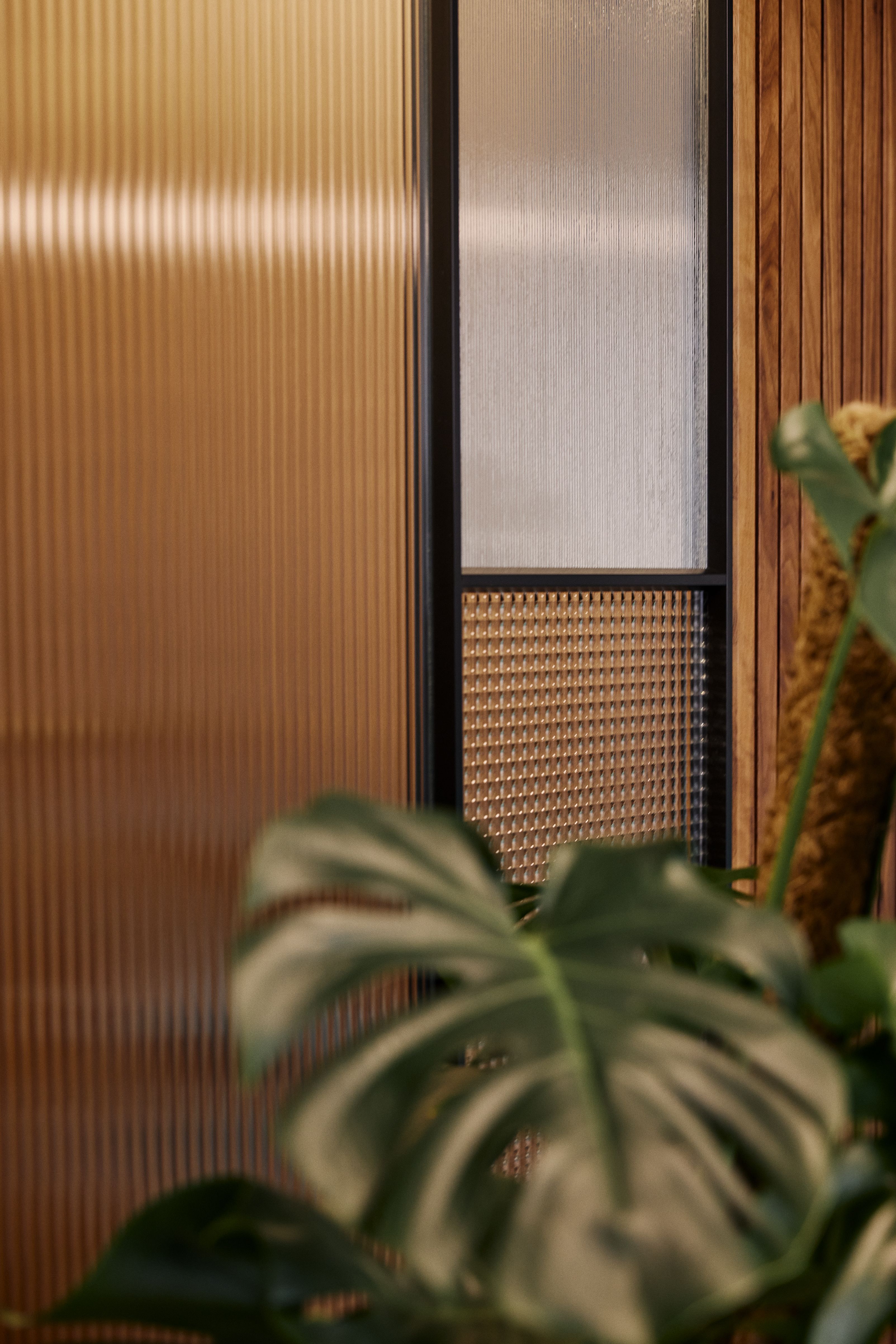 Die Kombination aus strukturiertem Glas, Holz und Pflanzen verleiht der Zahnarztpraxis Kempten von Stephanie Thatenhorst eine natürliche Eleganz.