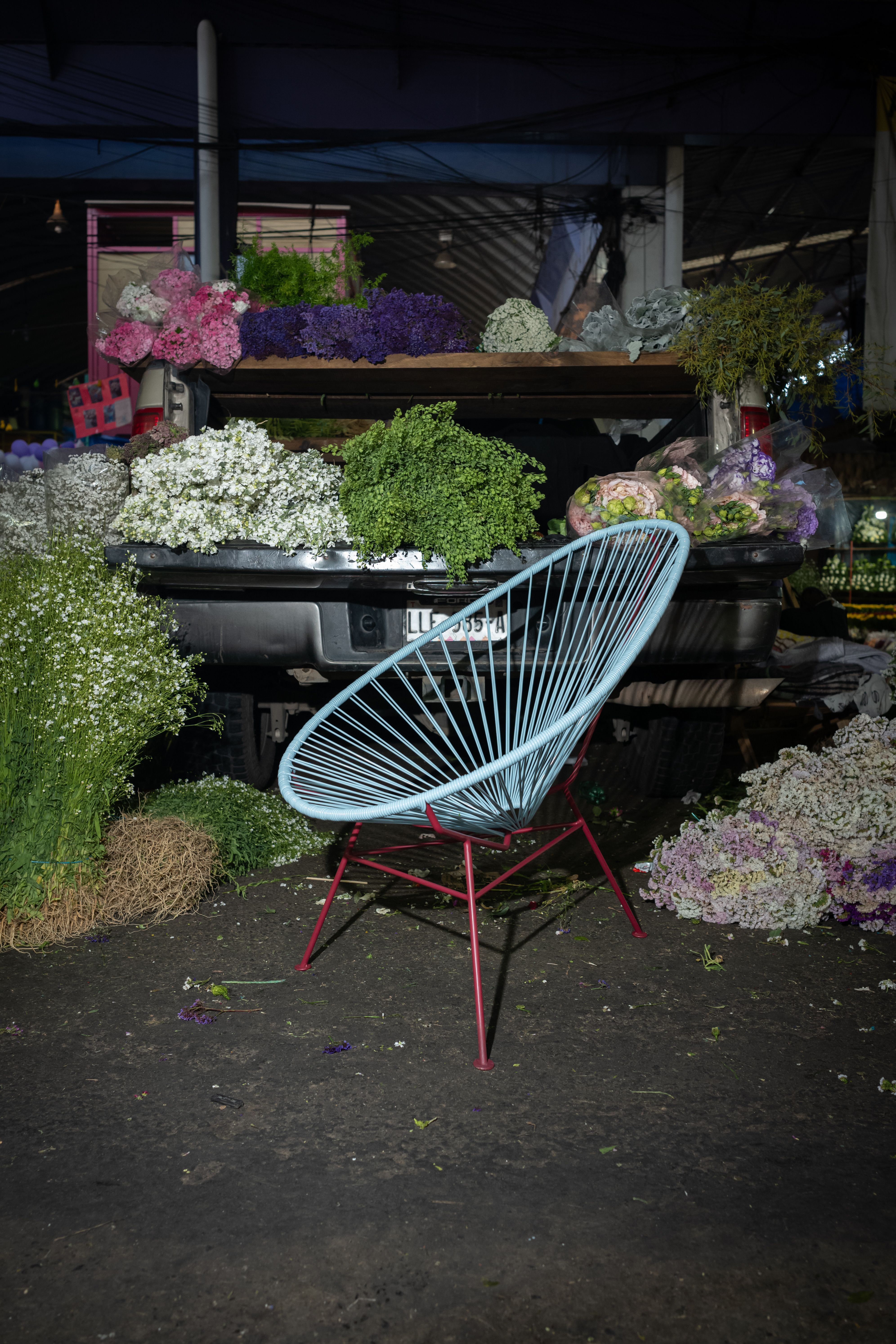 Stephanie Thatenhorst