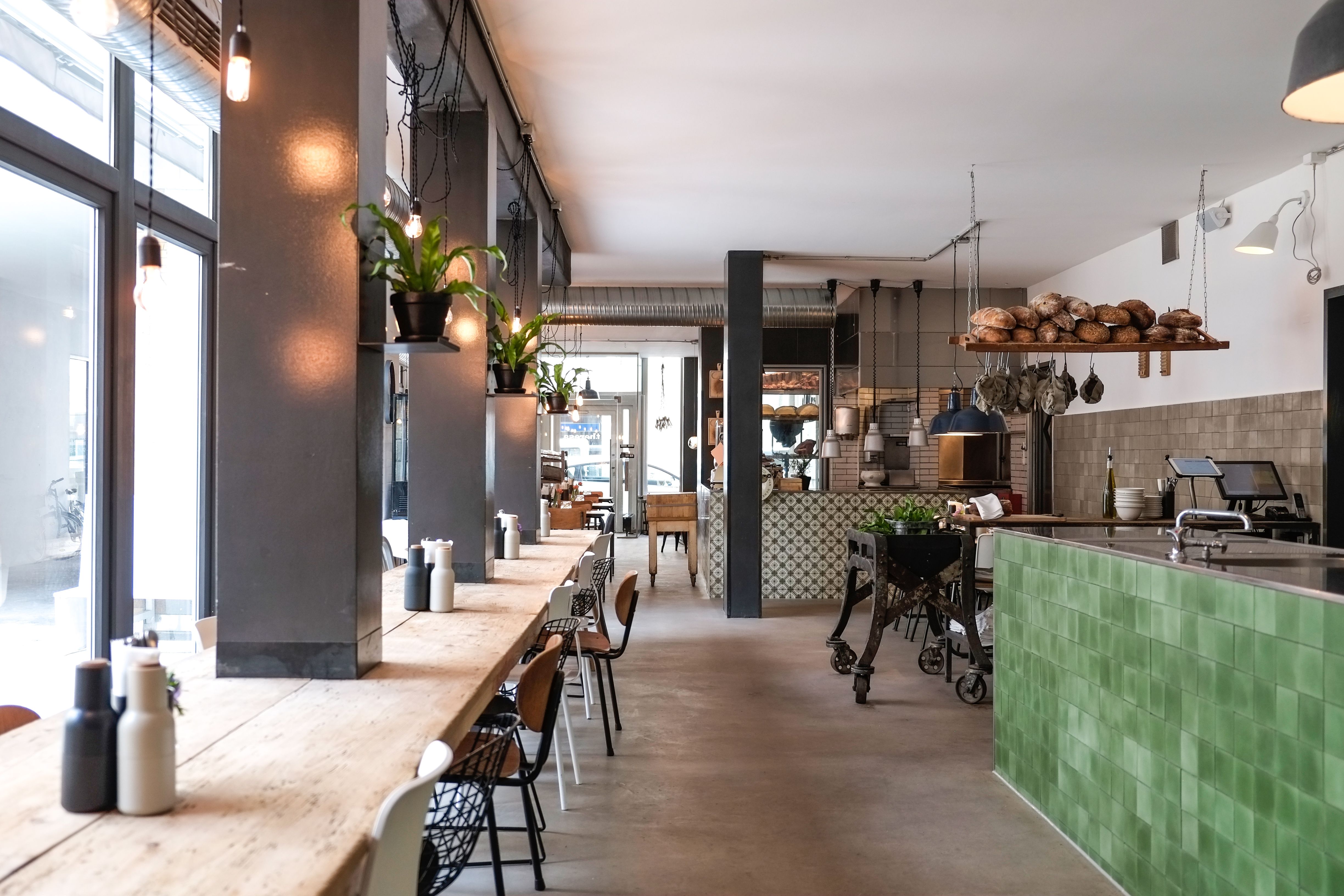 Stephanie Thatenhorst