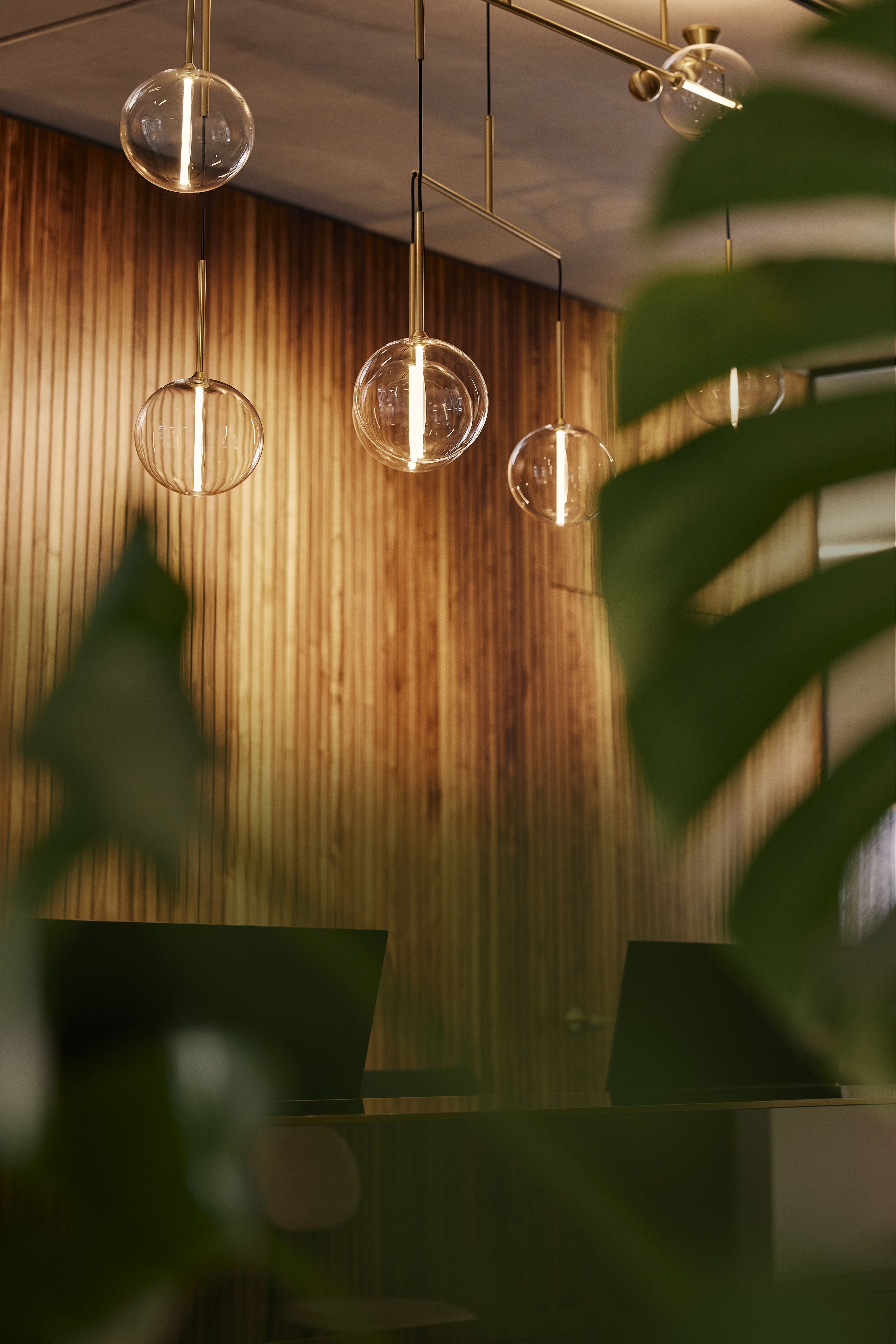 Die Kombination aus Holz, Glas und Pflanzen schafft in der Zahnarztpraxis Kempten eine natürliche und beruhigende Raumatmosphäre.