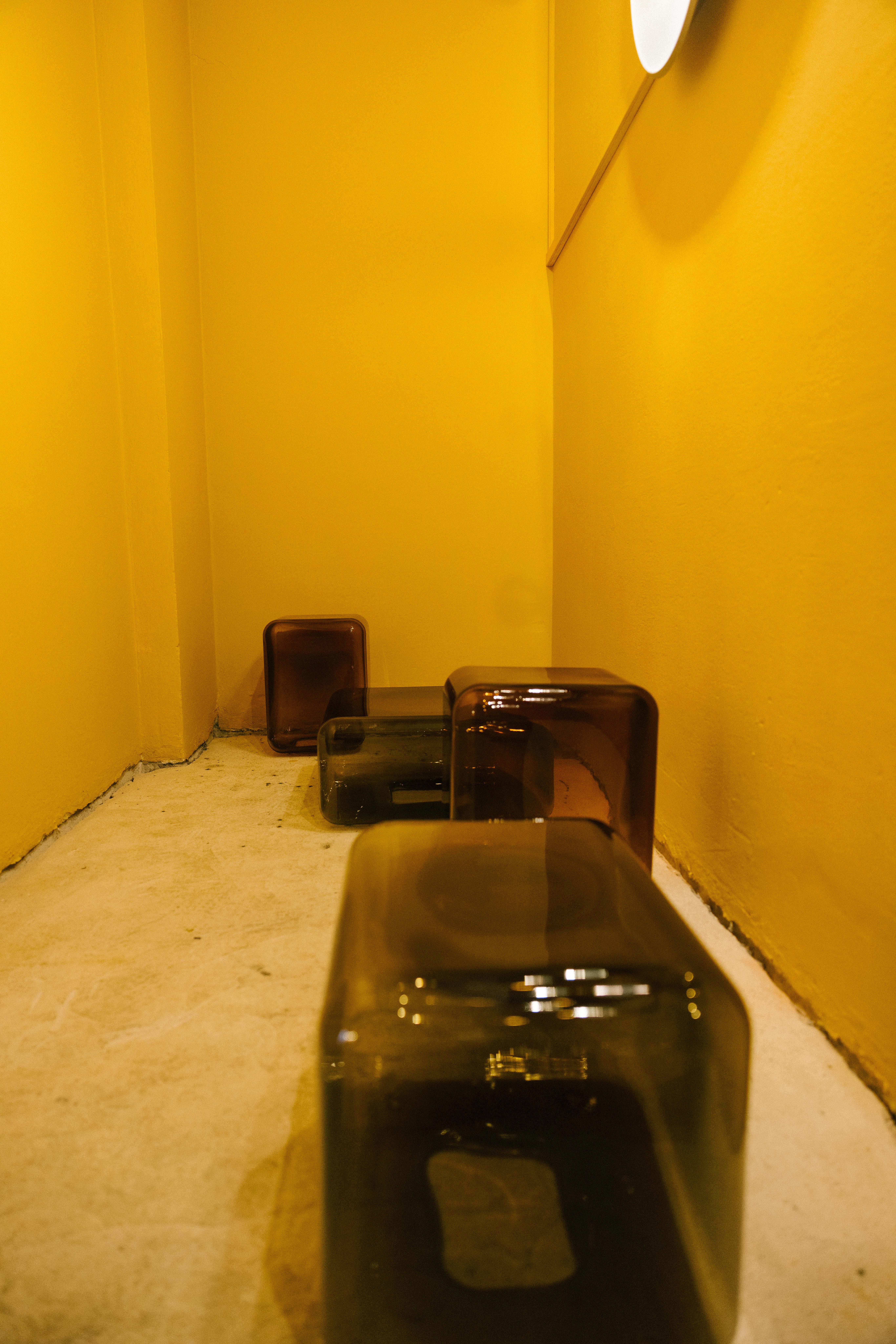 Stephanie Thatenhorst