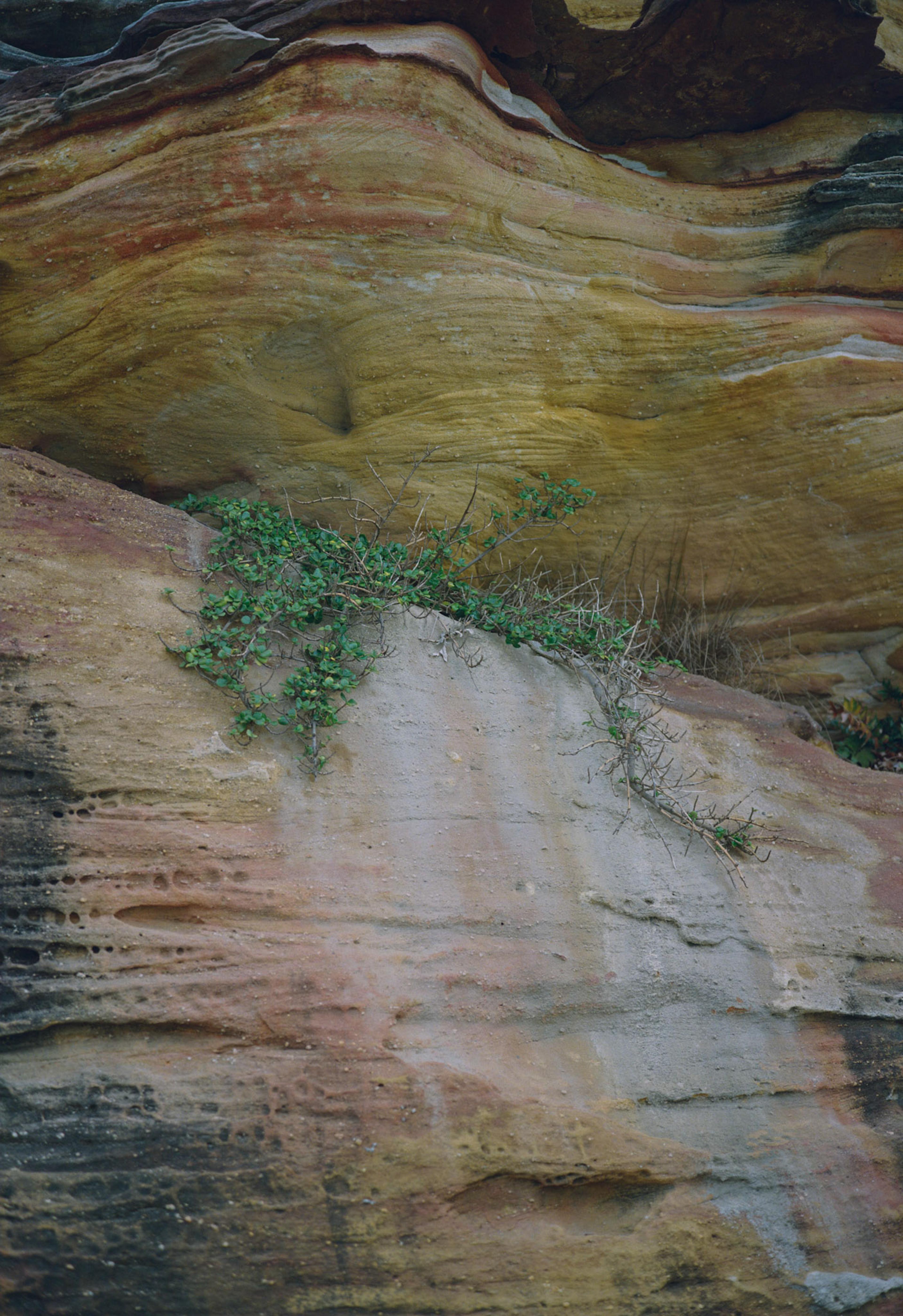 Faith Crevice