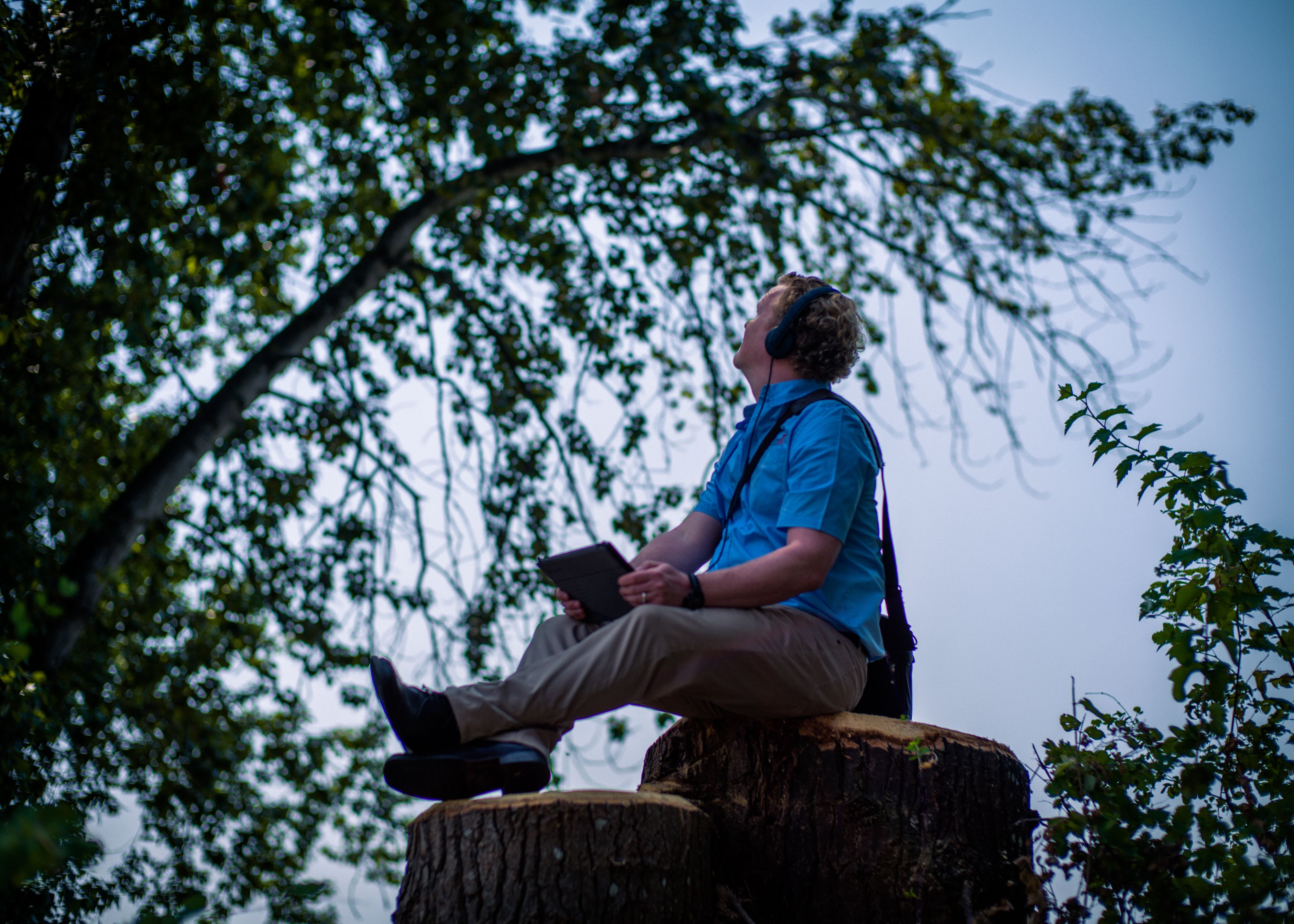 New Perspectives (IT)