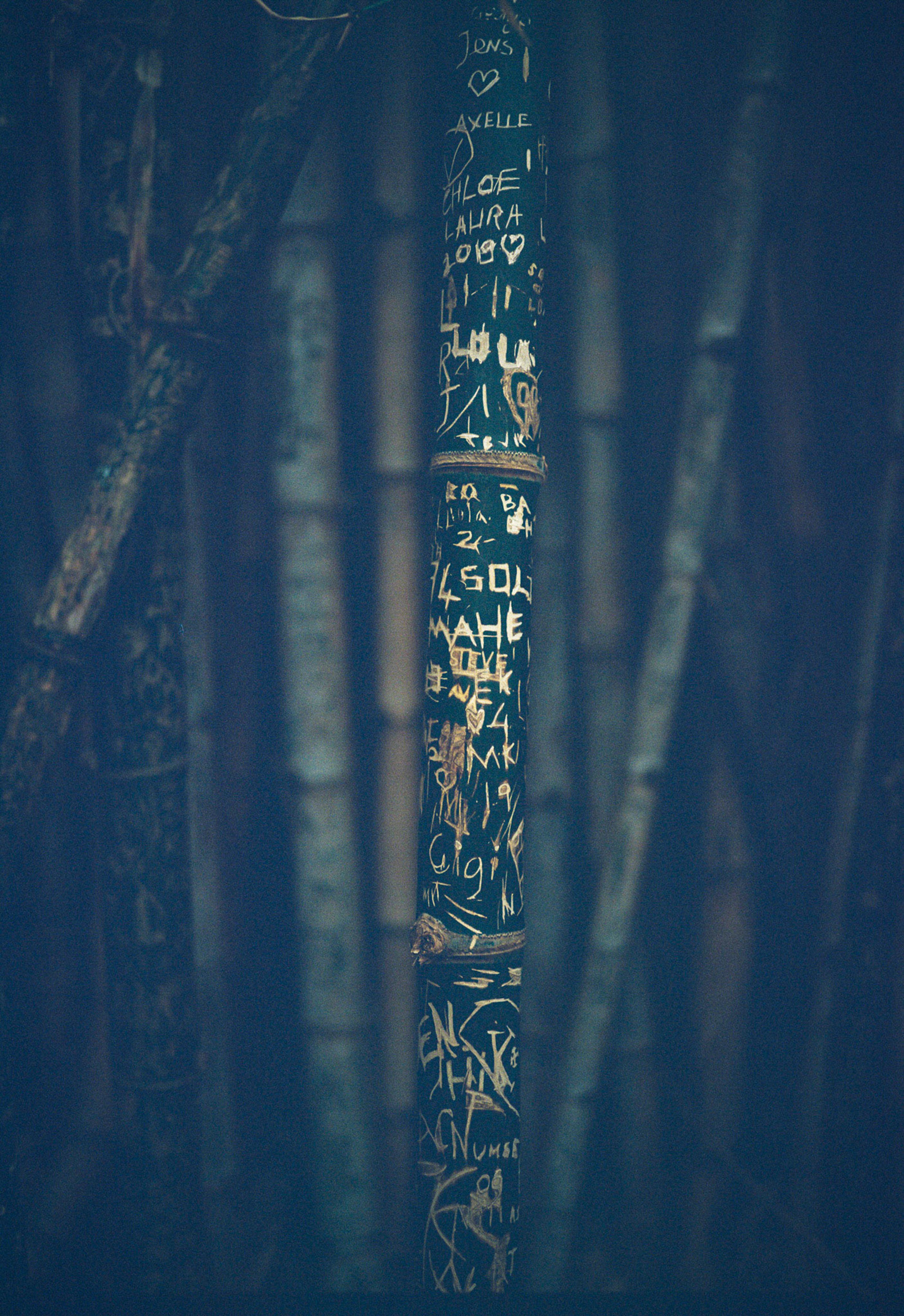 Carved Devotion