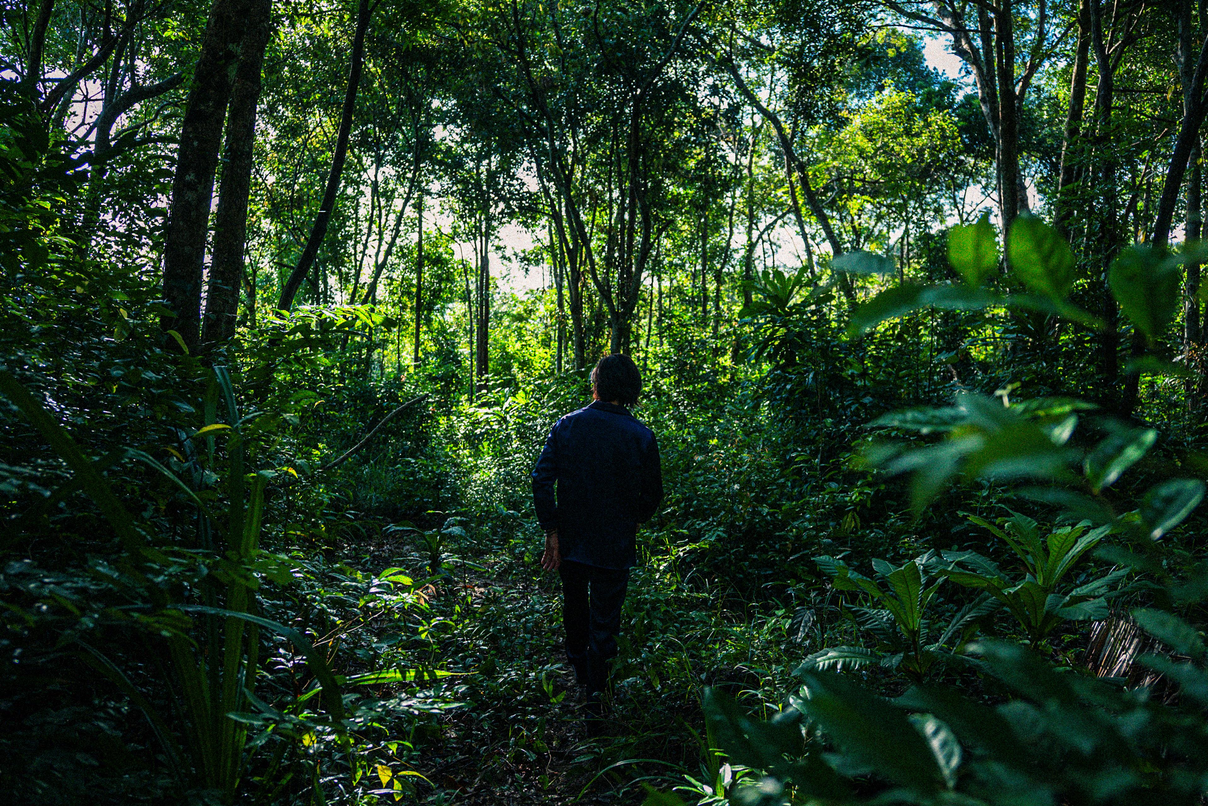 DRAGON - Jungle 004