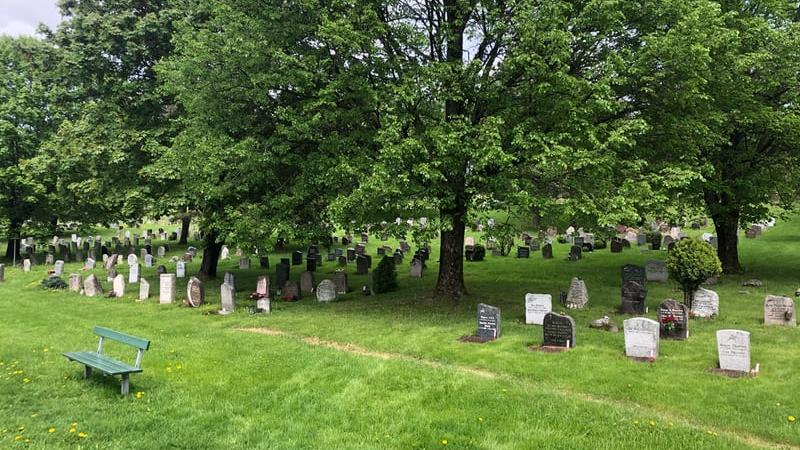 Kirkegård med stort og flott tuntre