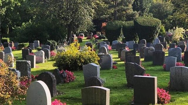kyrkogård med gravstenar