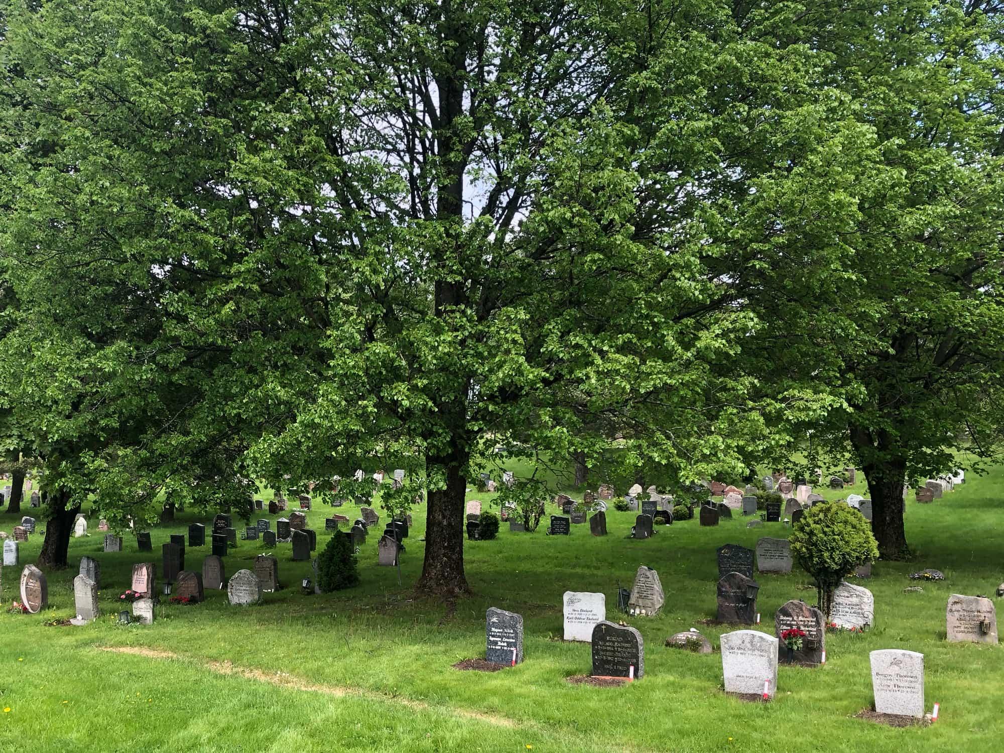 Tuntre på kirkegård