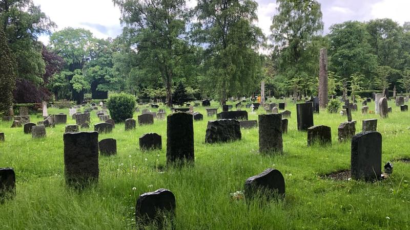 Kirkegård med høyt gress