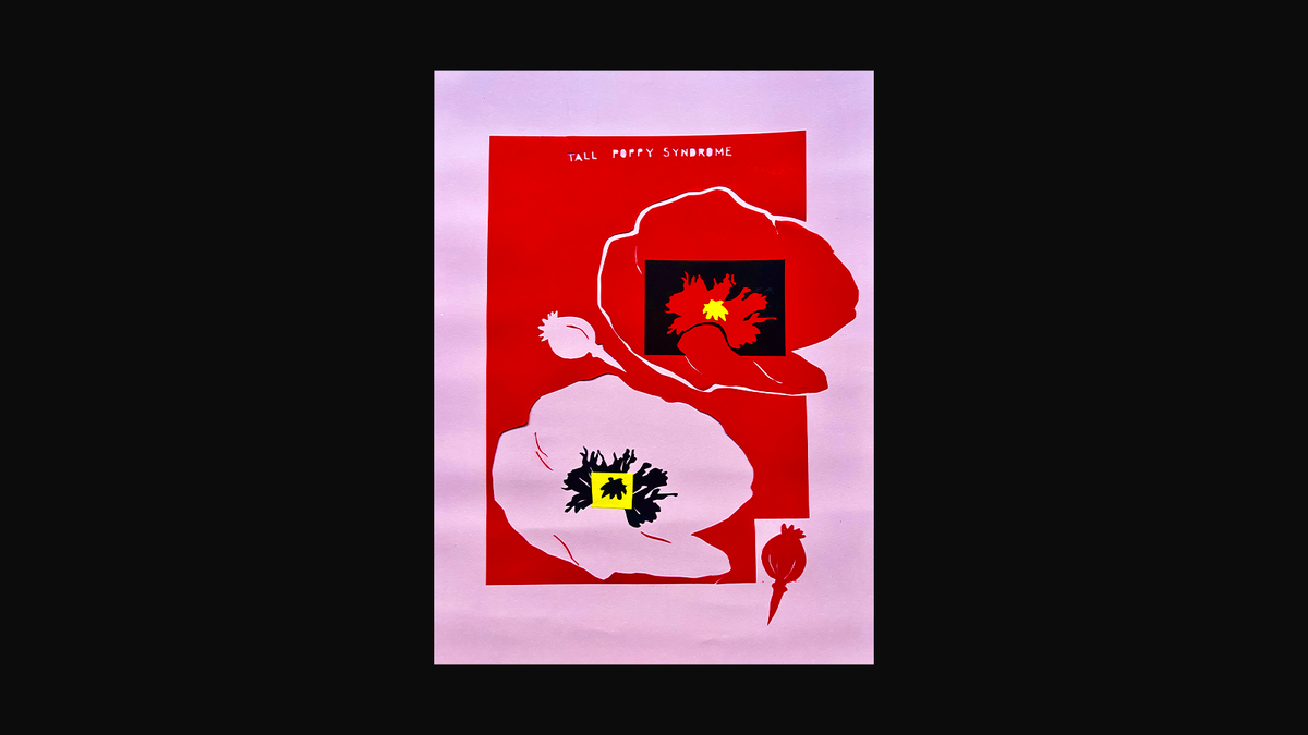 CUT OUTS — image 7