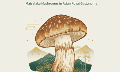 Wild Mountain Delicacies: Matsutake Mushrooms in Asian Royal Gastronomy