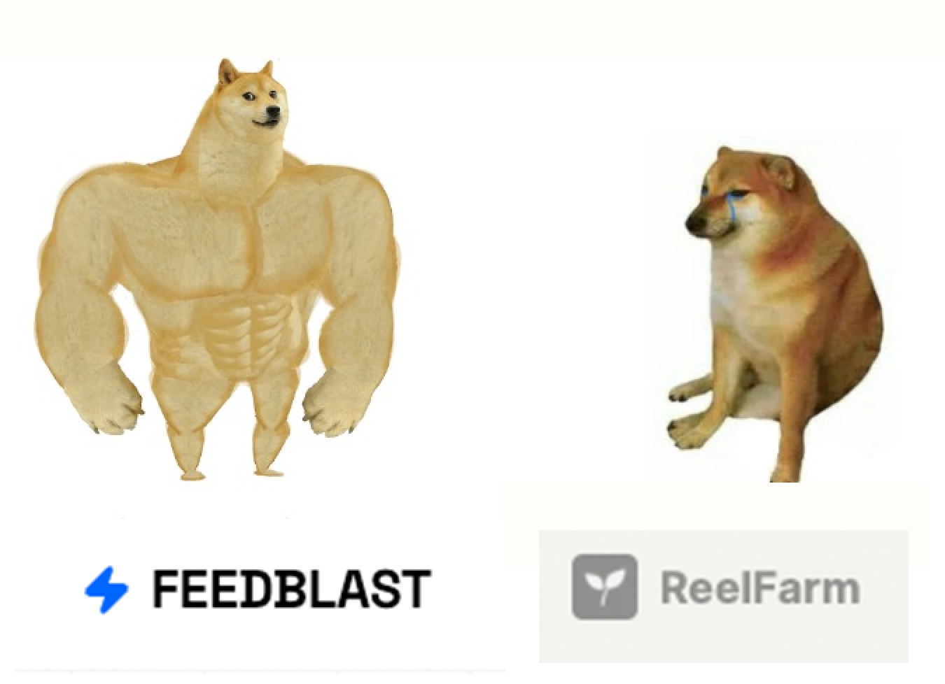 FeedBlast vs. ReelFarm: Which makes the best content?