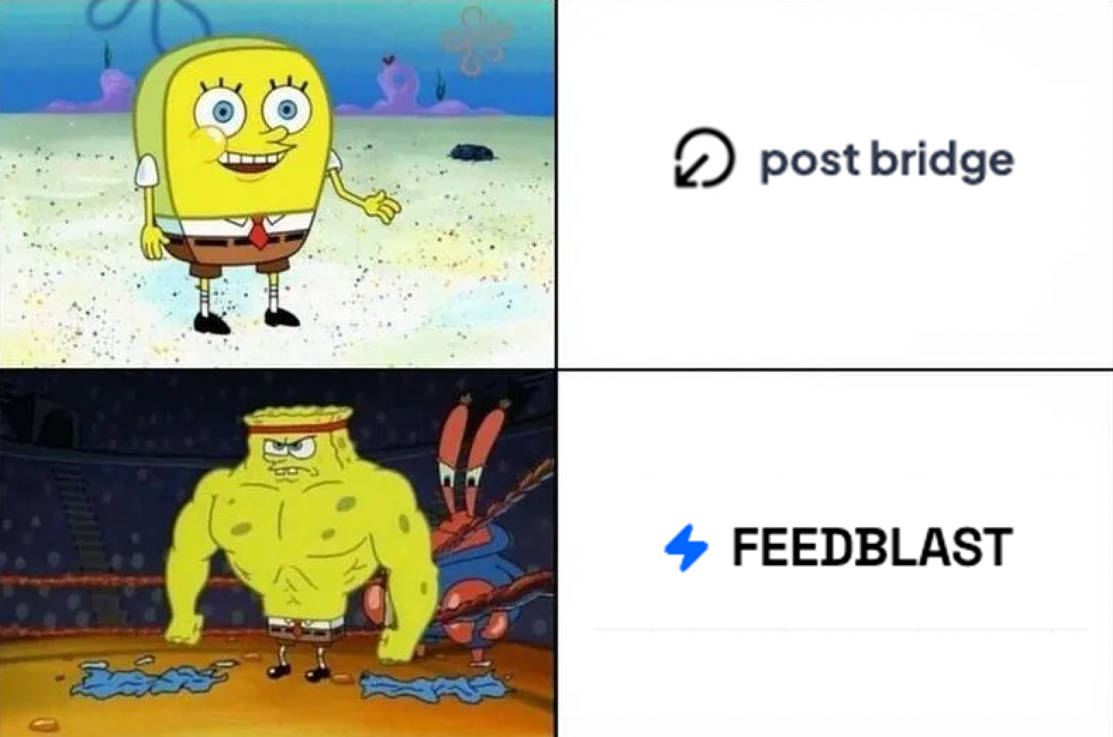 FeedBlast vs. PostBridge: Which Platform Wins for Scaling Content?