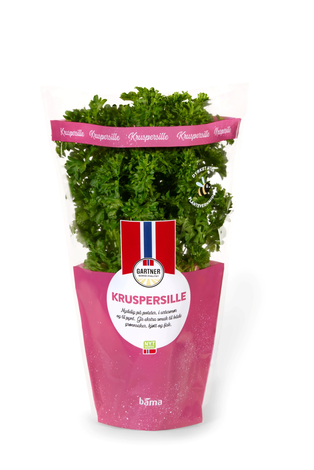 Fersk kruspersille i potte fra Gartner