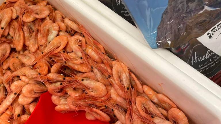 Ferske reker i fiskedisk