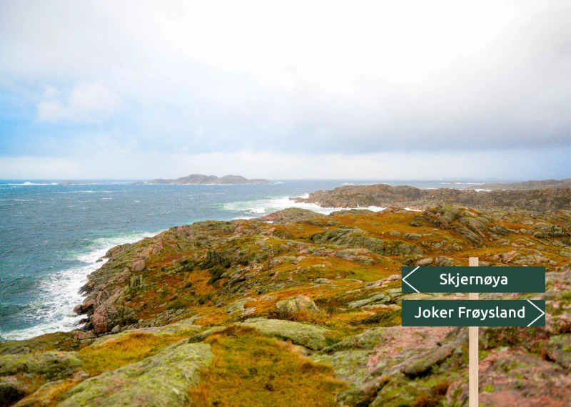 Utsikt fra Skjernøya