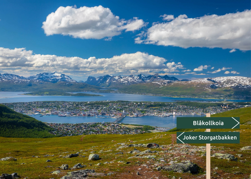 Utsikt fra Blåkollkoia