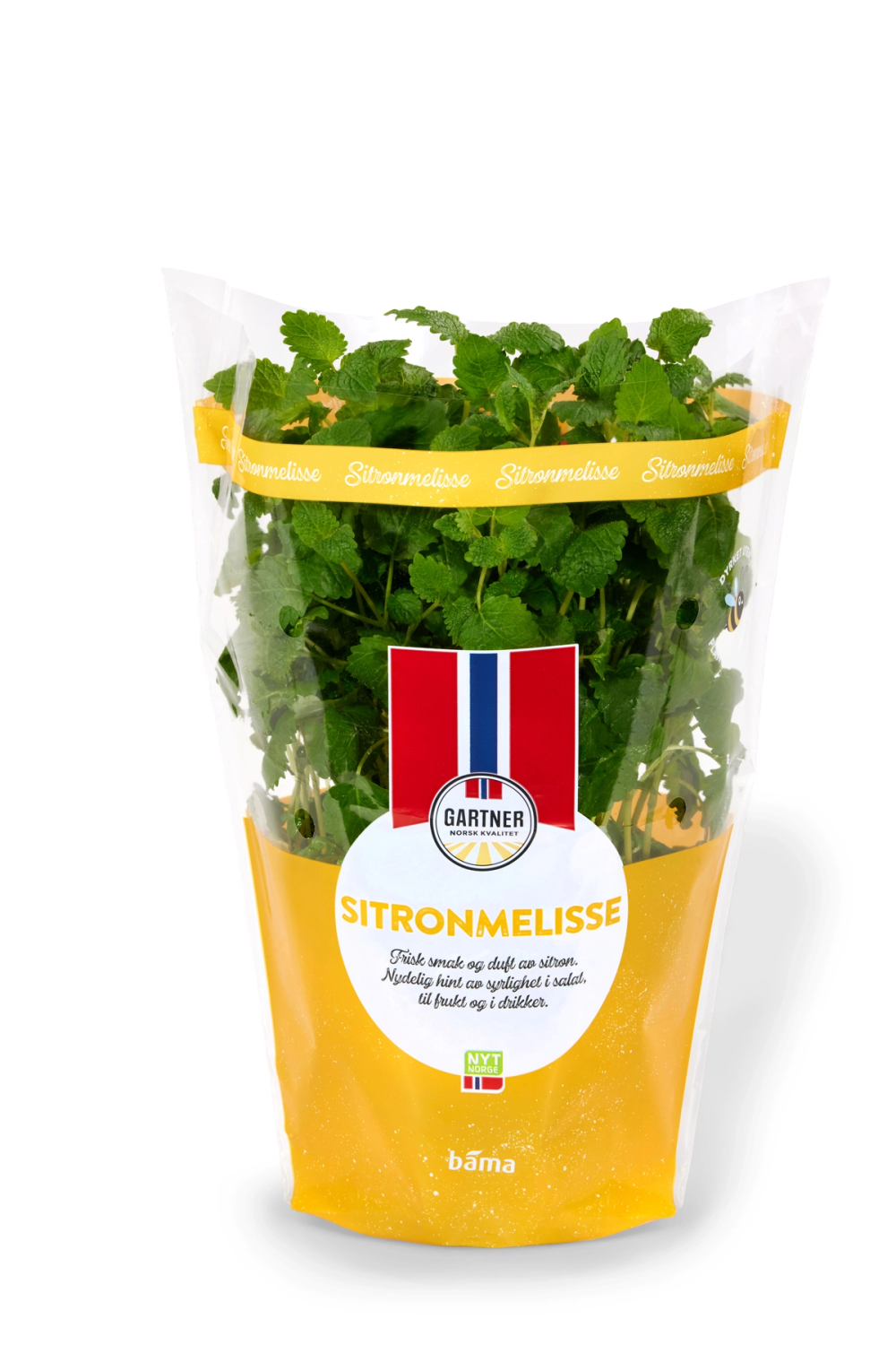 Fersk sitronmelisse i potte fra Gartner