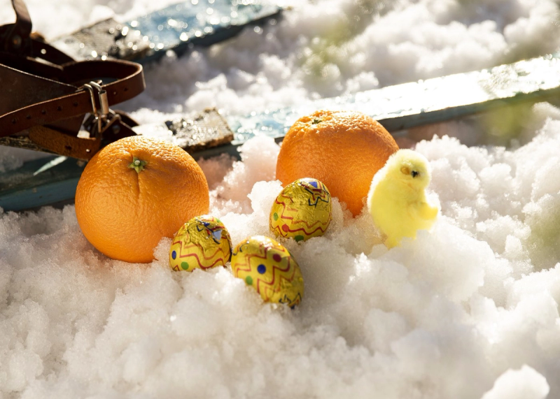 Appelsiner, påskeegg og kylling i snøen med ski i bakgrunnen