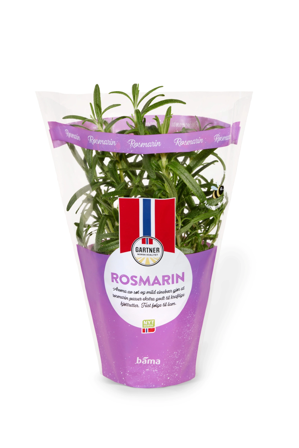 Fersk rosmarin i potte fra Gartner