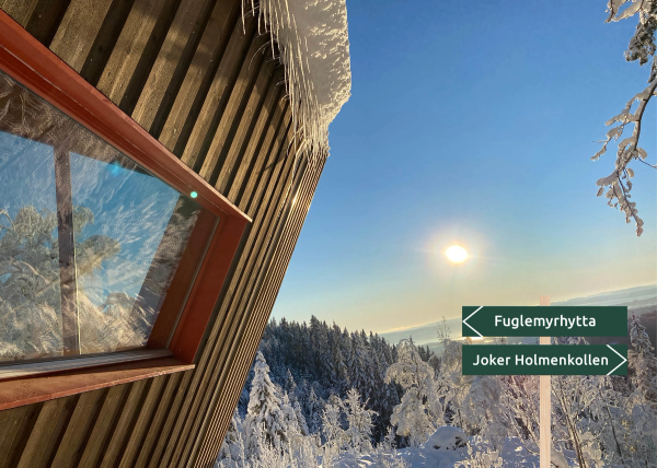 Fuglemyrhytta i vinterdrakt