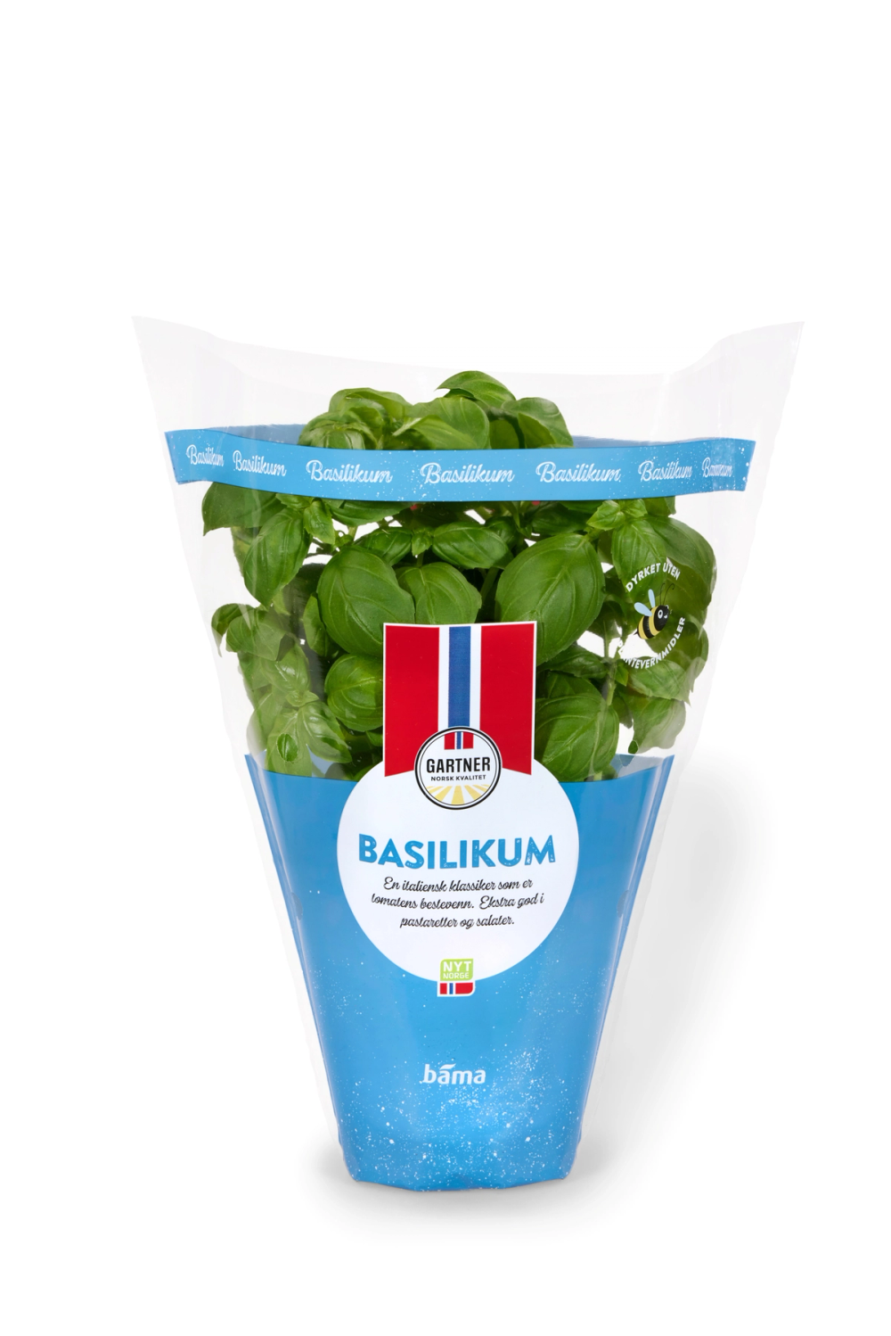 Fersk basilikum i potte fra Gartner