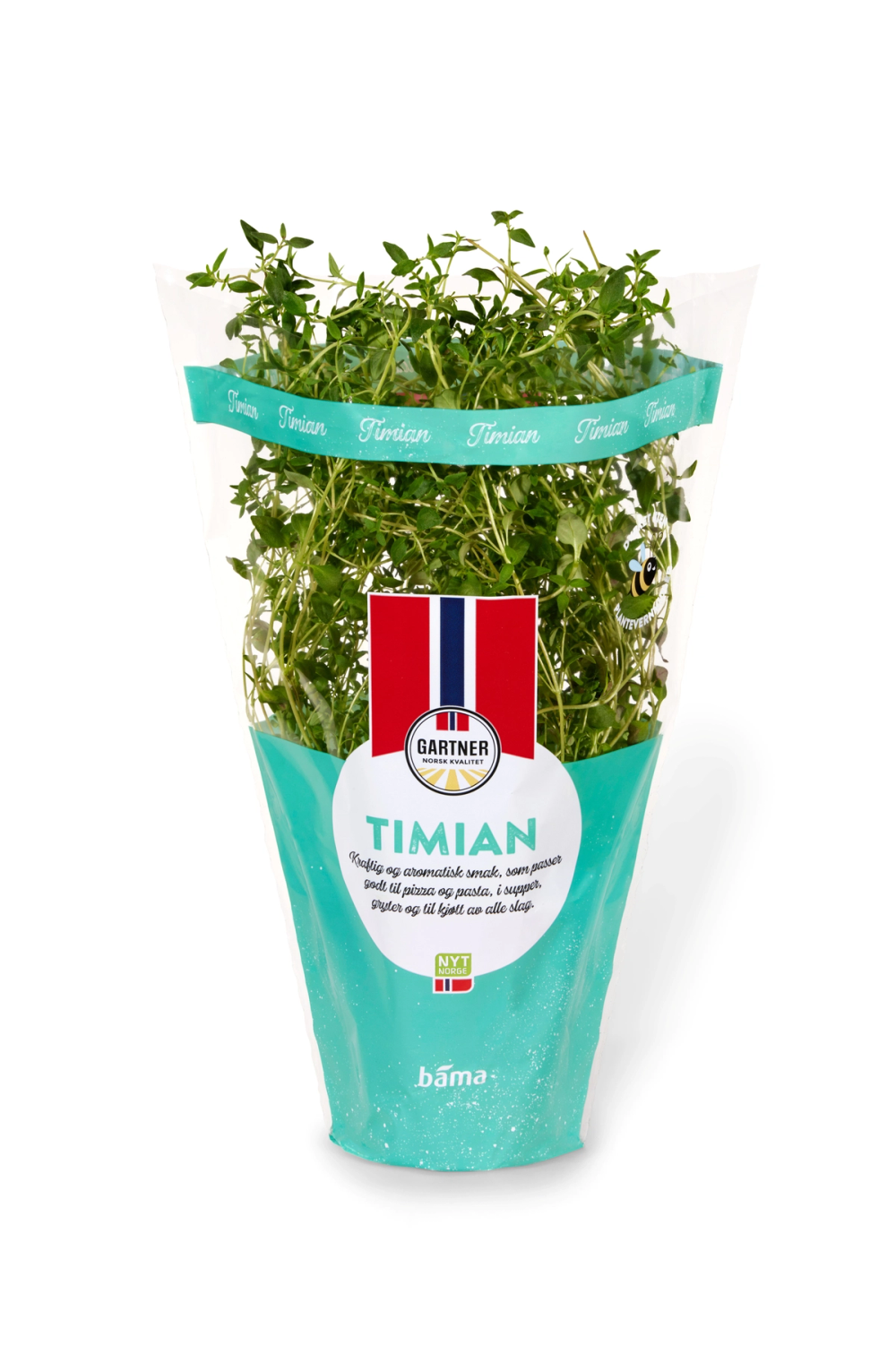 Fersk timian i potte fra Gartner