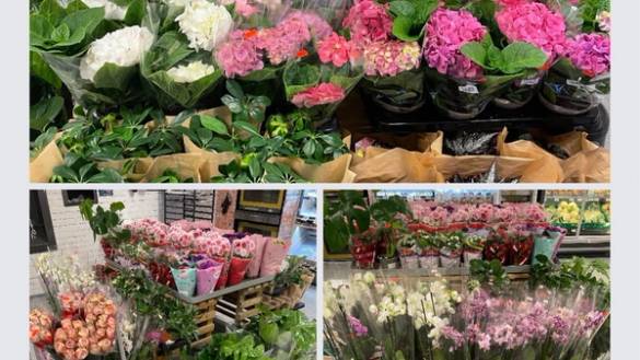 Fargerike blomsterbuketter til salgs