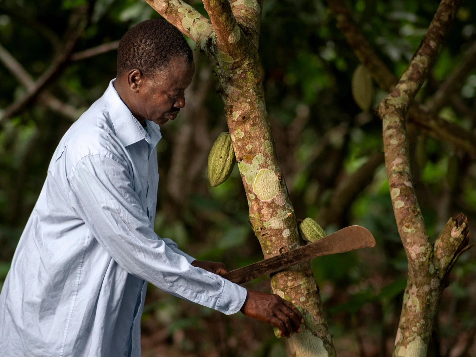 Contrôle qualité & traçabilité sur site