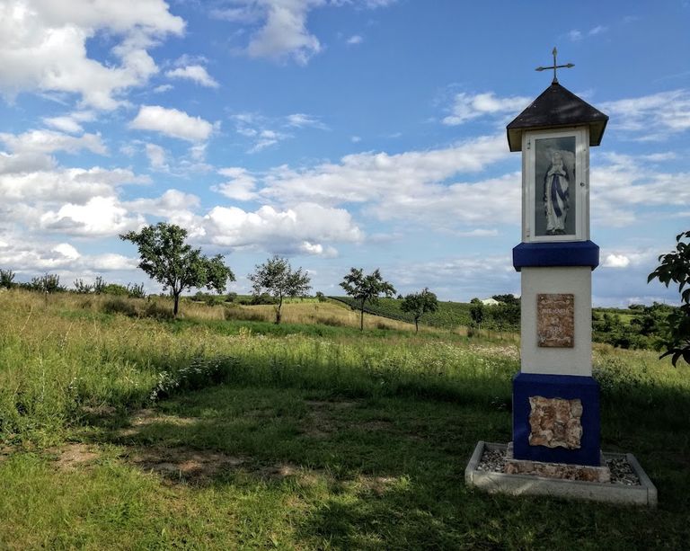 Image of fields in Kyjovské Slovácko 