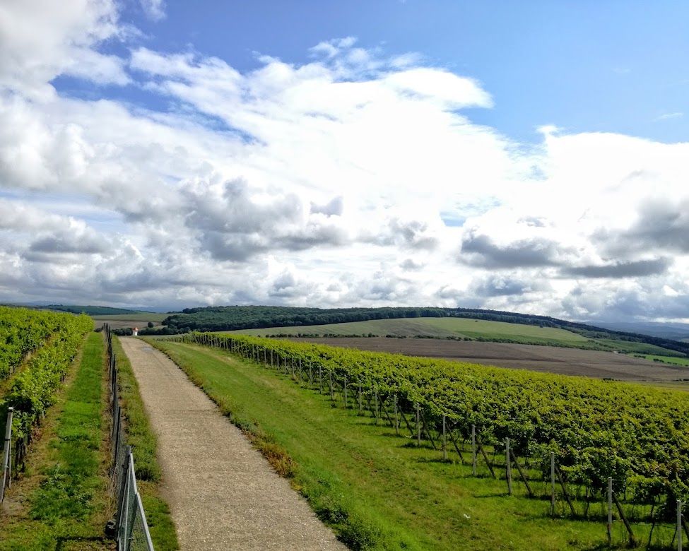 Image of a path through a South Moravian agricultural landscape.