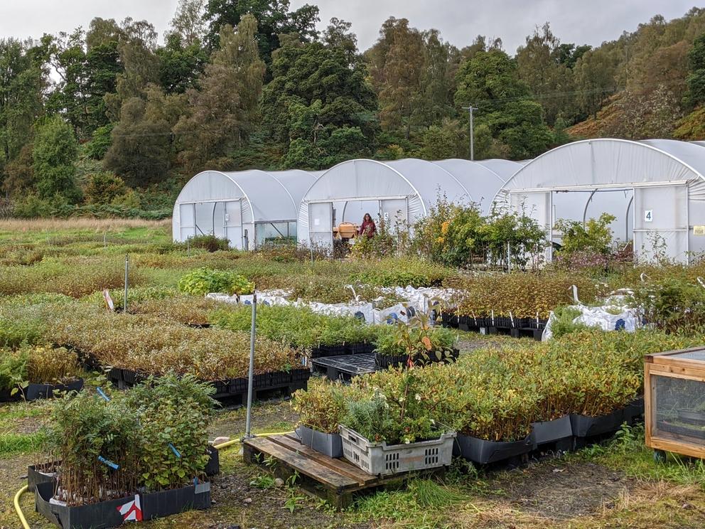 Image of greenhouses and vegetable patches on a farm in the Scottish highlands.