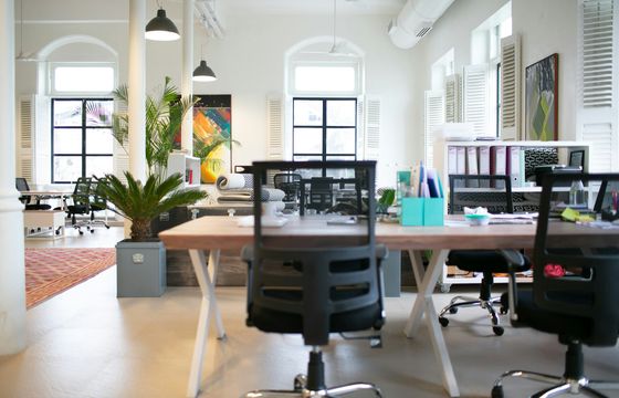 Modern open-plan office with ergonomic chairs, bright natural light, indoor plants, and art—designed to encourage collaboration and creativity.