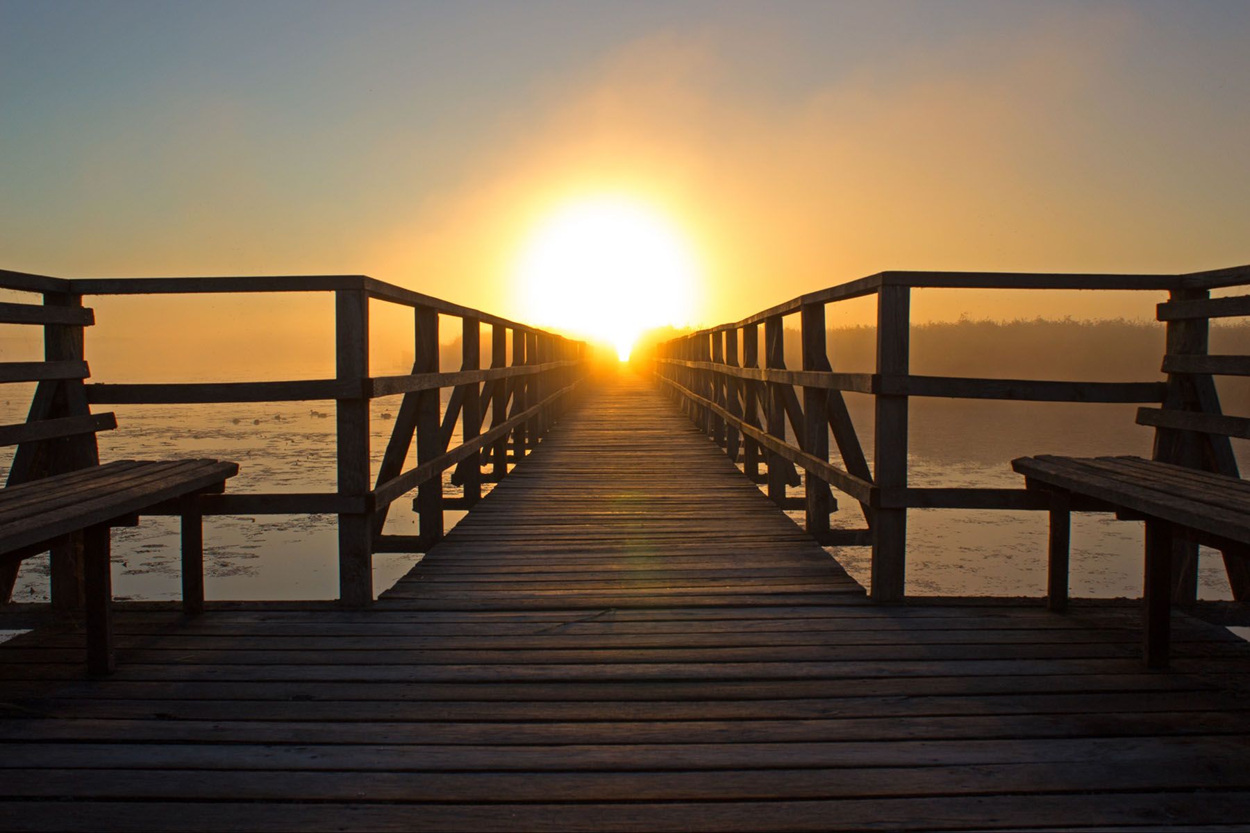 Friday Q&A: Is a company’s vision created by one person, or by a team?