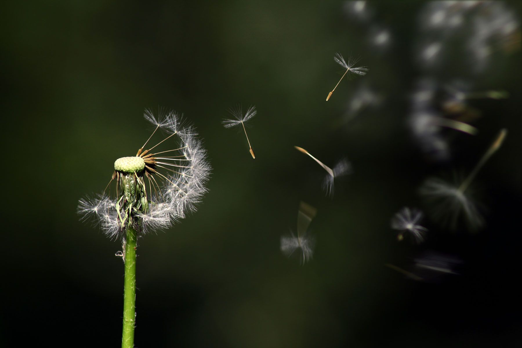 Friday Q&A: What to Do When Content Marketing Growth Slows Down