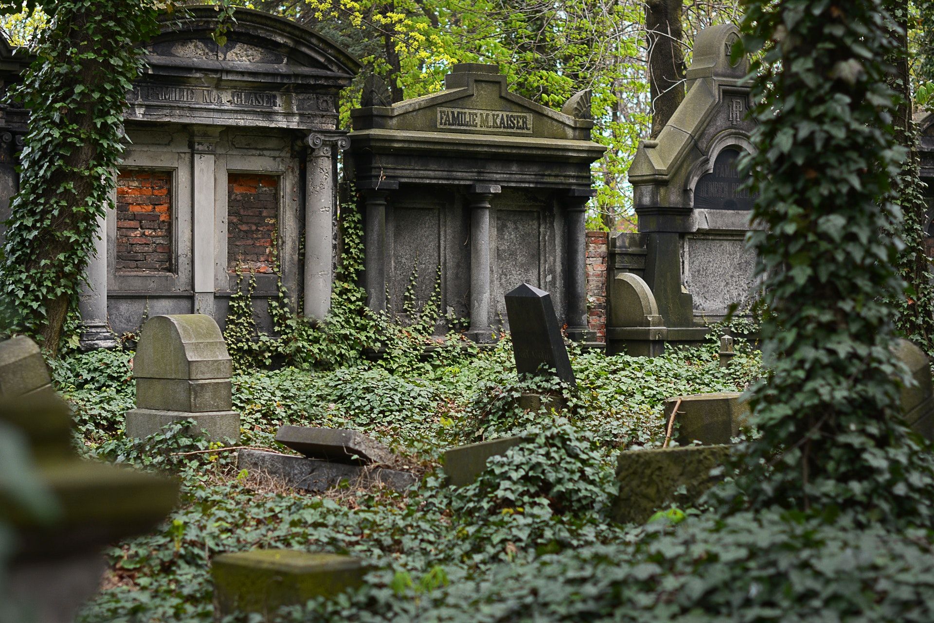 The Story We Haven’t Shared: How Our Startup Almost Died