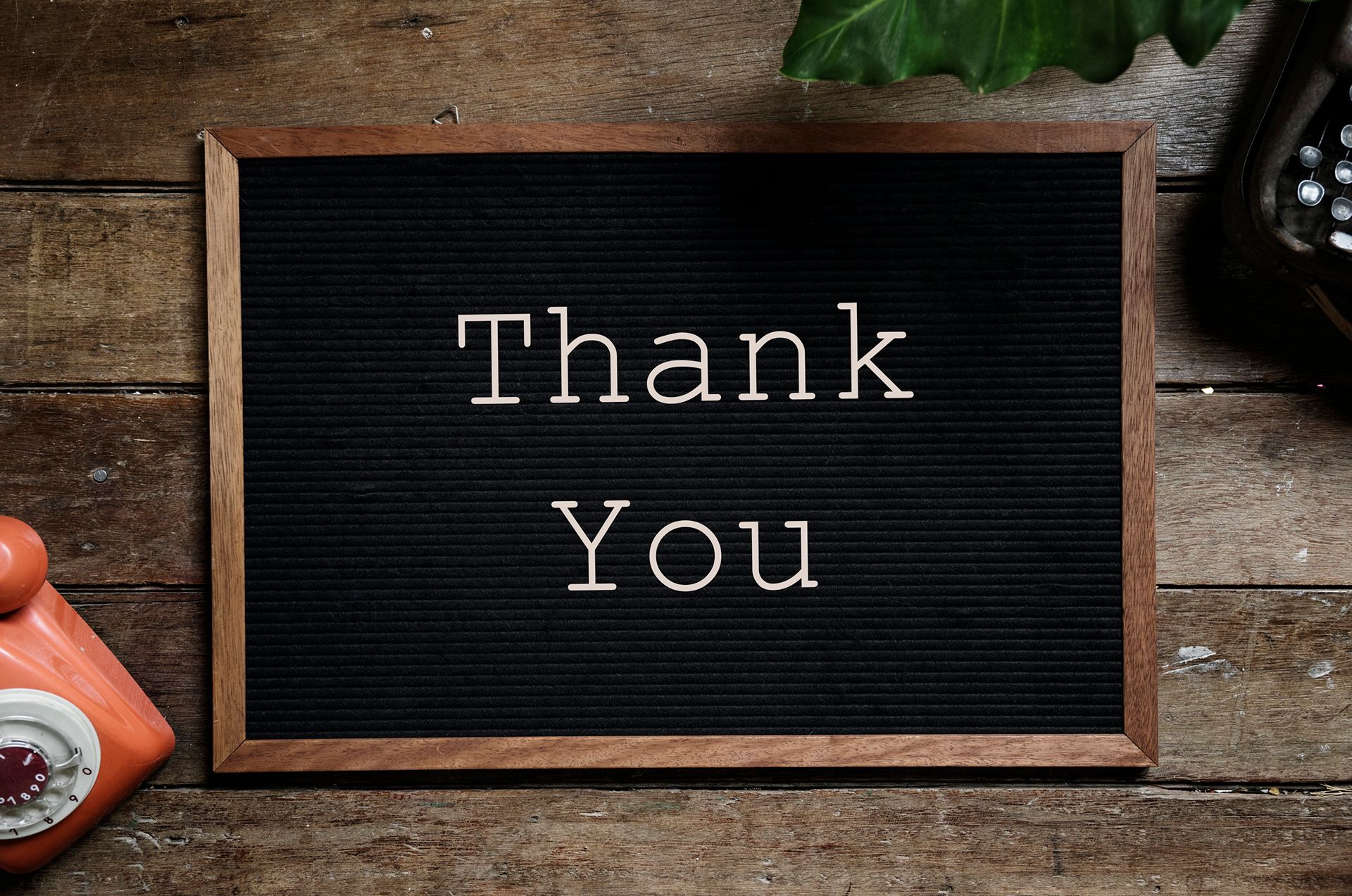 How Gratitude Has Made Me a Better Founder